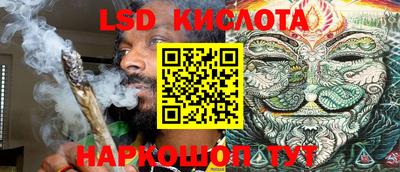 прущие крисы Шелехов