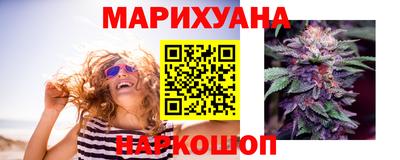 шишки Шахты