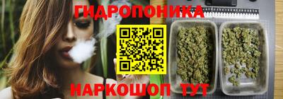 шишки Шахты