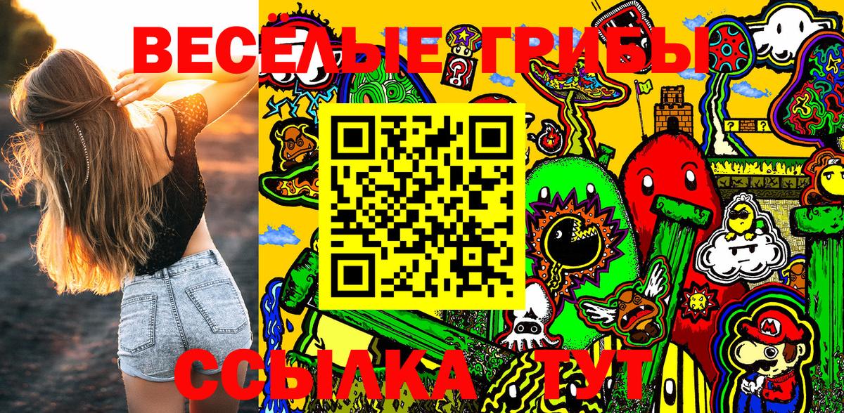 Галлюциногенные грибы Cubensis  Псилоцибиновые грибы GOLDEN TEACHER  Заводоуковск  Вход с VPN 