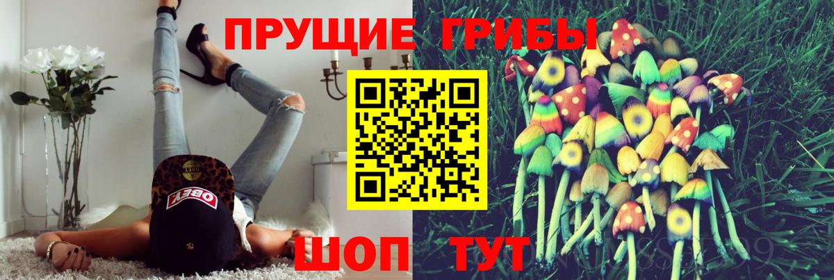 Галлюциногенные грибы Magic Shrooms Заводоуковск